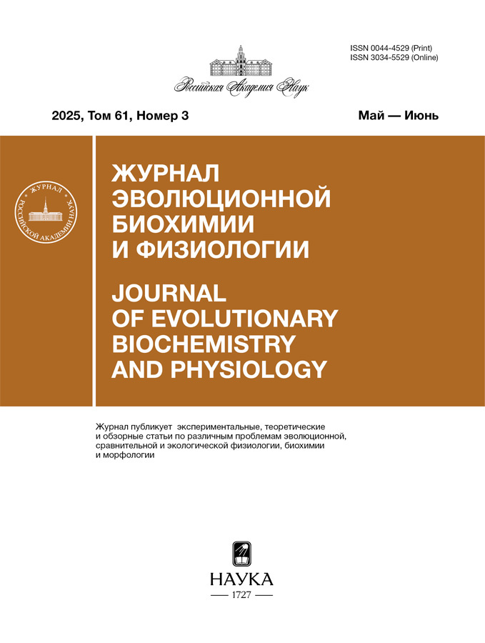 Бет Тақырыбының Логотипі