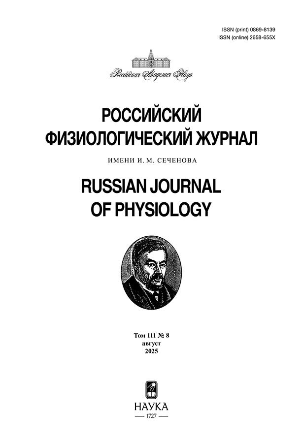 Логотип Заголовка Страницы
